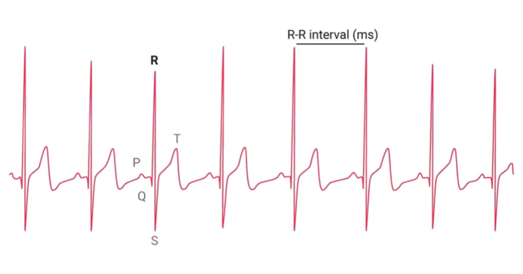 HRV が示す意味とは？