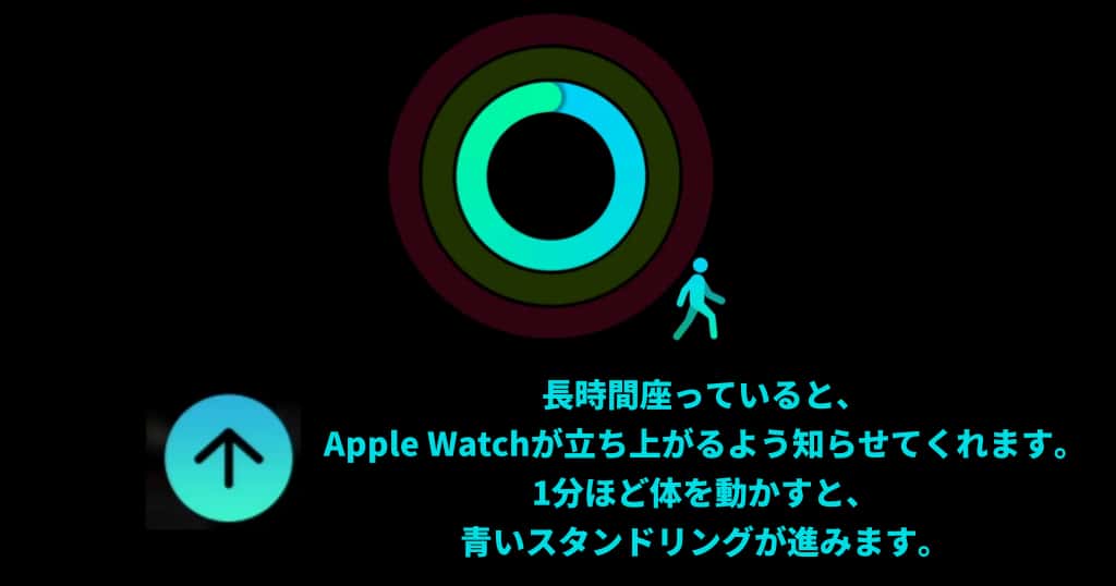 Apple Watchの青リング（スタンドリング）が示す1時間ごとの立ち上がり回数